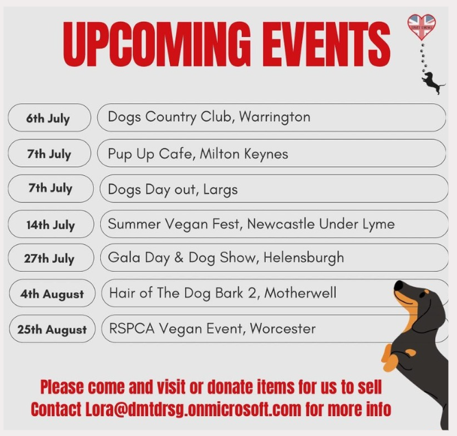 July and august 2024 event list