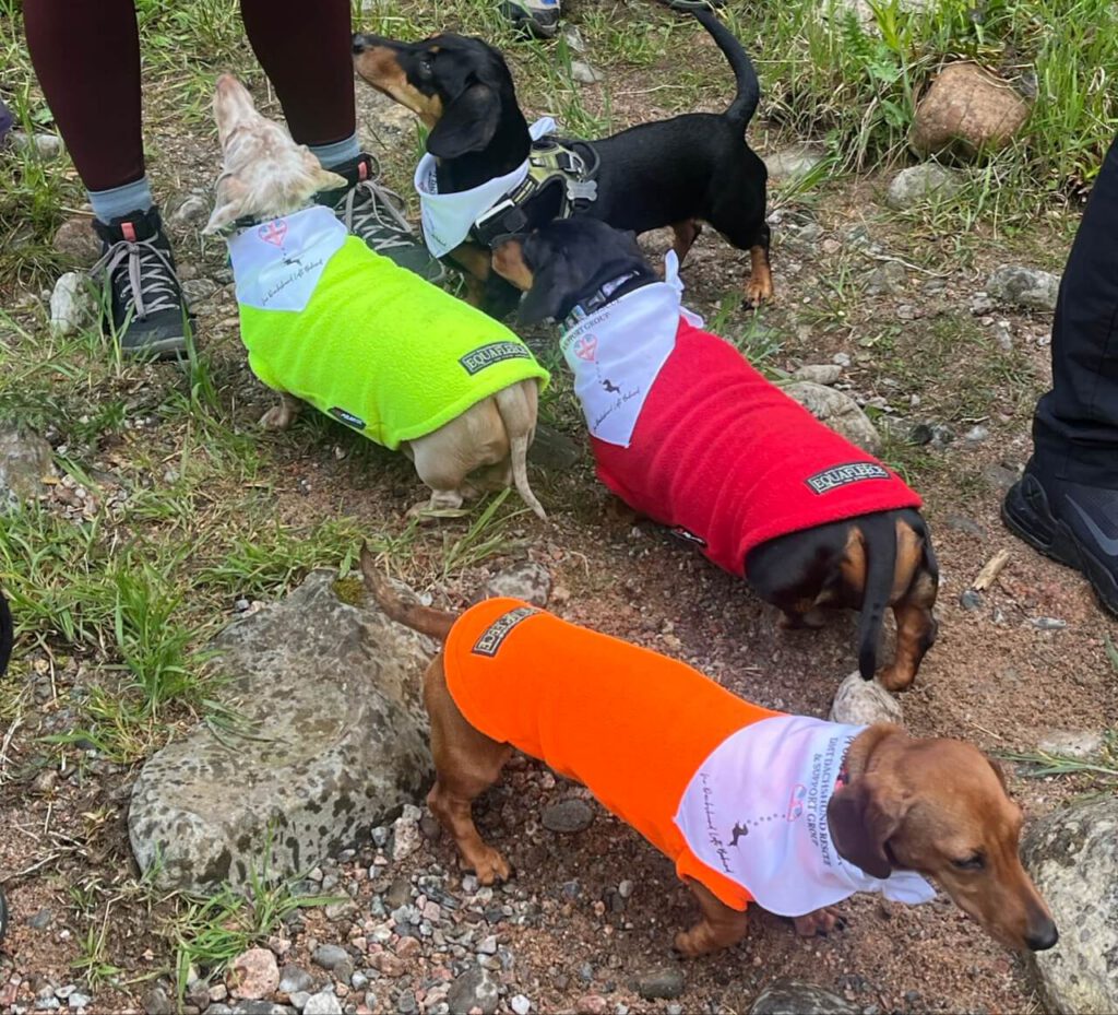 Annual Sponsored Walk 25