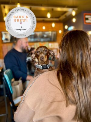 Dachshund Bark & Brew -Charity Event for DMTDRSG