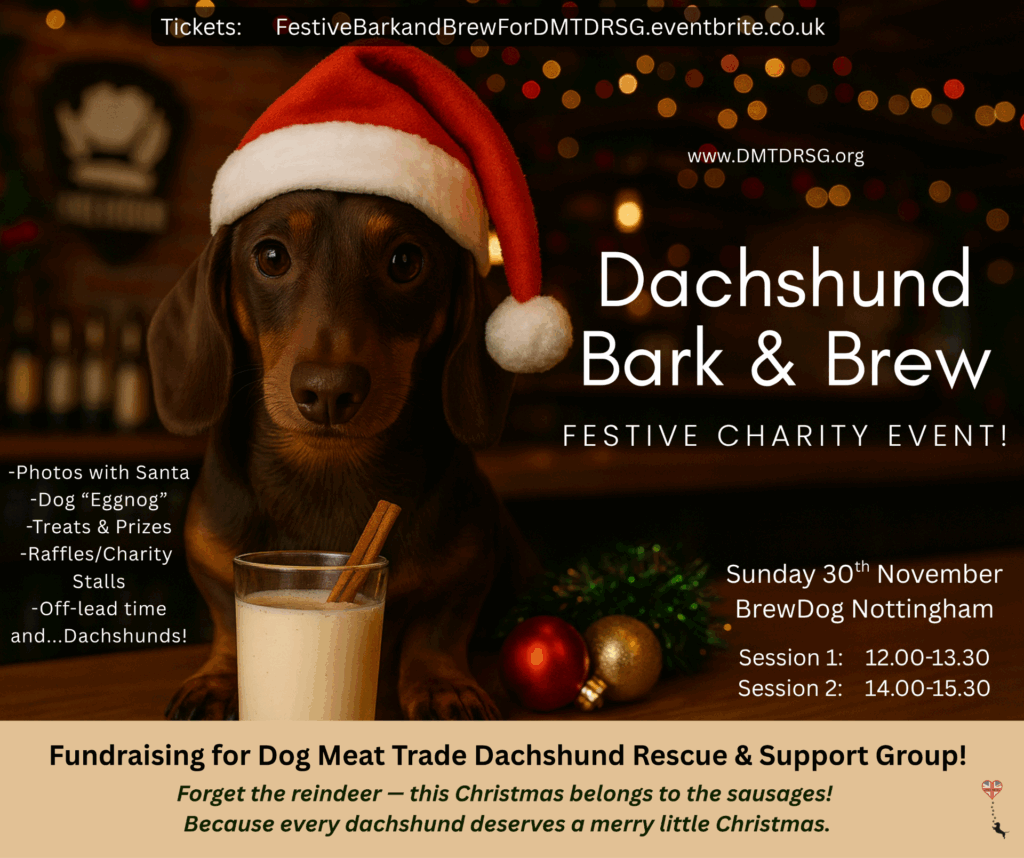 Festive Bark & Brew!