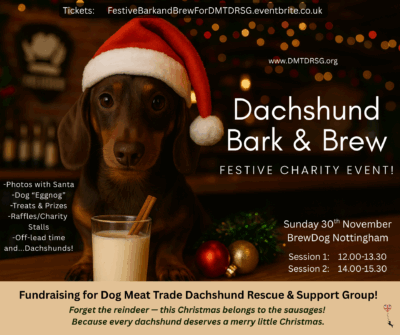 Festive Bark & Brew!