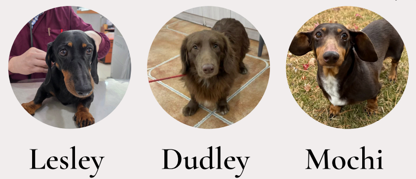 Lesley, Dudley and Mochi