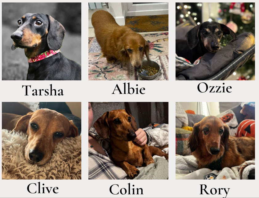 Tarsha, Albie, Ozzie, Clive, Colin and Rory in their homes