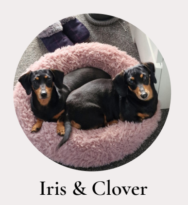 Iris and Clover