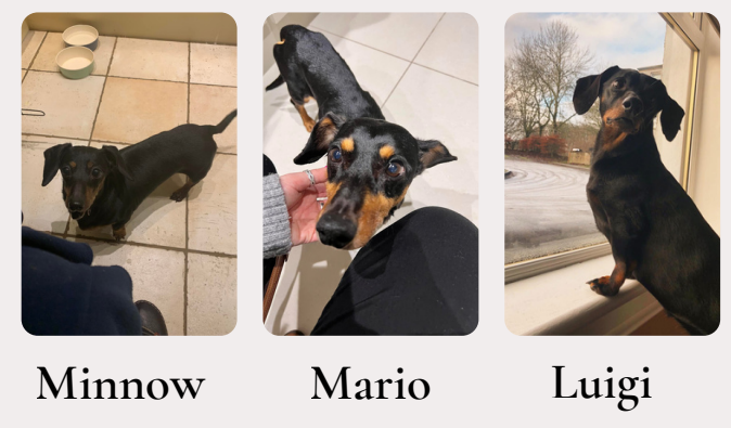 Minnow, Mario, Luigi