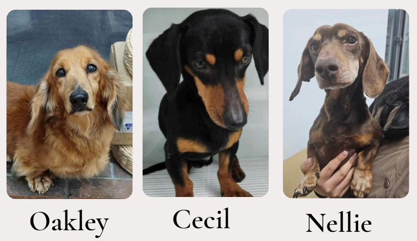 Oakley, Cecil and Nellie