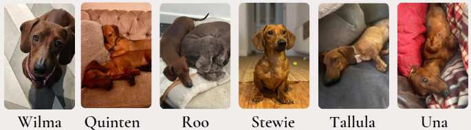 forever homes march 2024