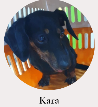 Kara July 2024 rescue