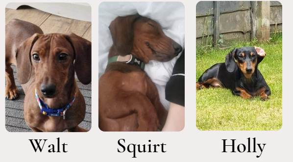 Walt, Holly and Squirt