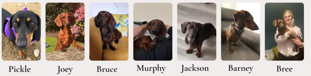 Pickle, Joey, Bruce, Murphy, Jackson, Barney and Bree