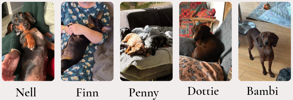 Nell, Finn, Penny, Dottie, Bambi