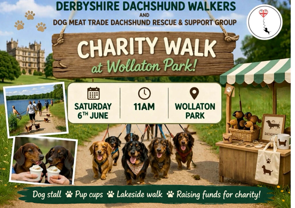 Charity Dachshund Walk- Wolloton Park