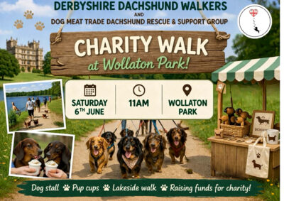 Charity Dachshund Walk- Wolloton Park