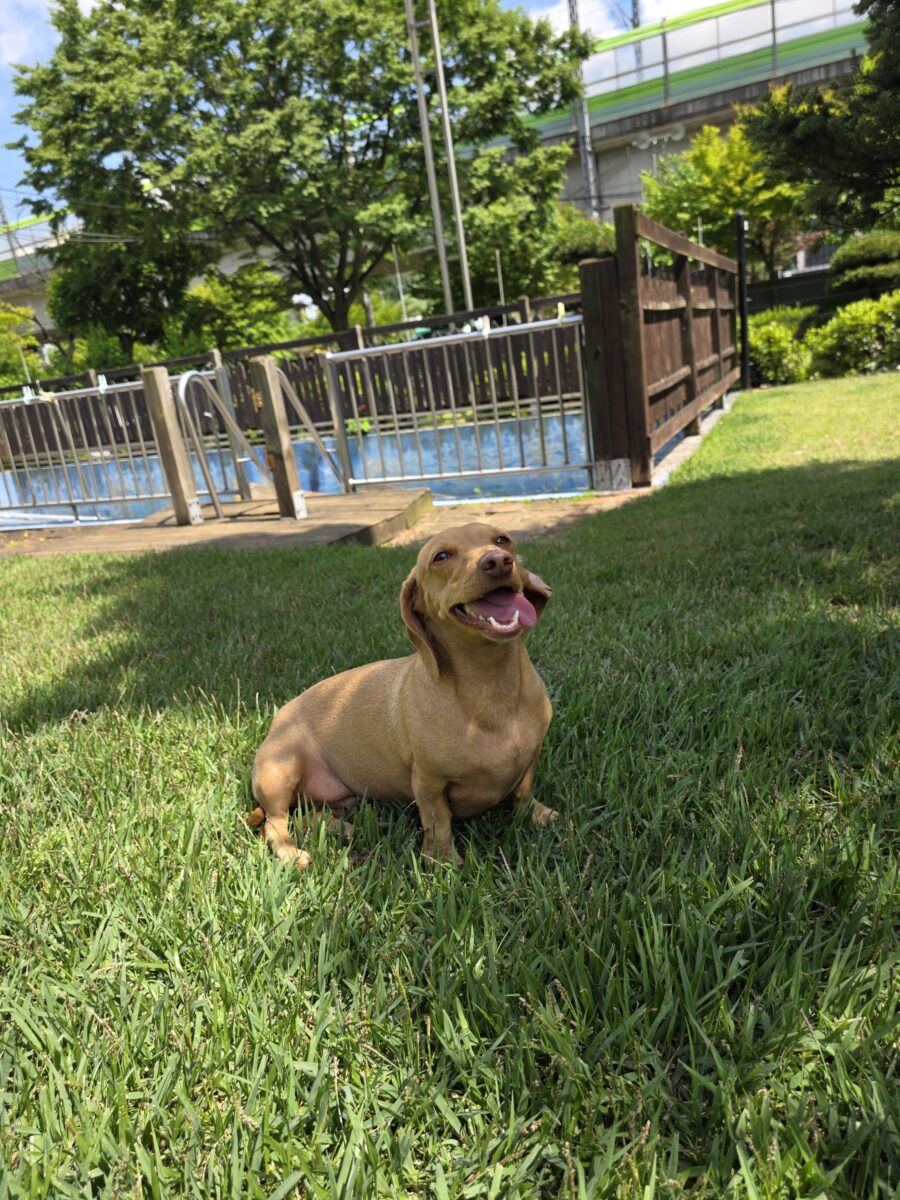 Frida