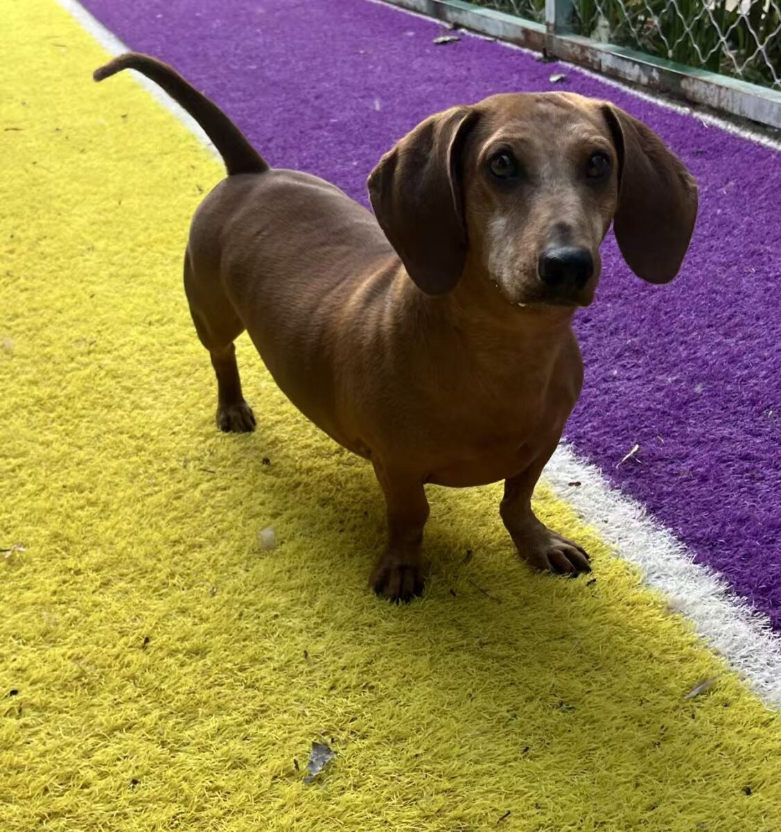 Image ofWinston