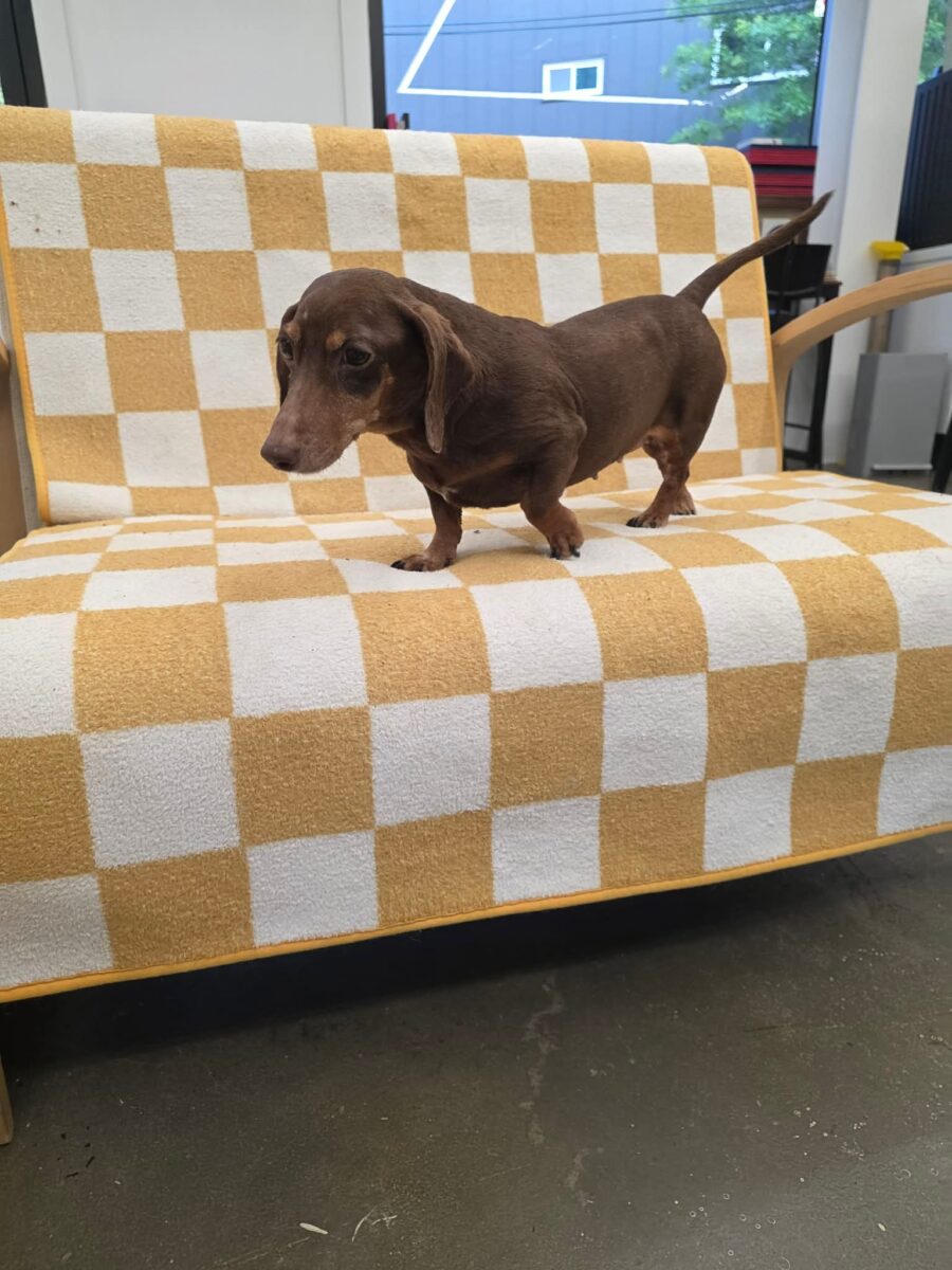 Image ofBetsy