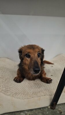 Rusty