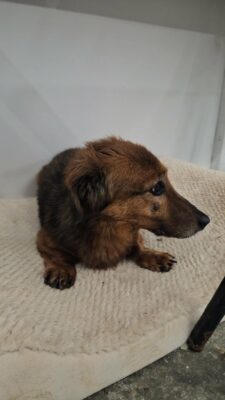 Rusty