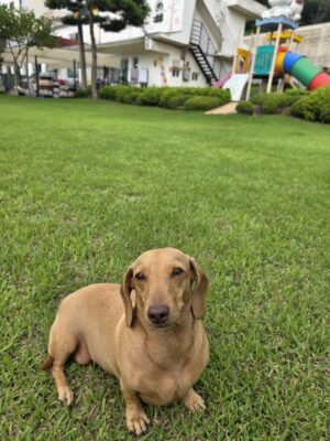 Frida