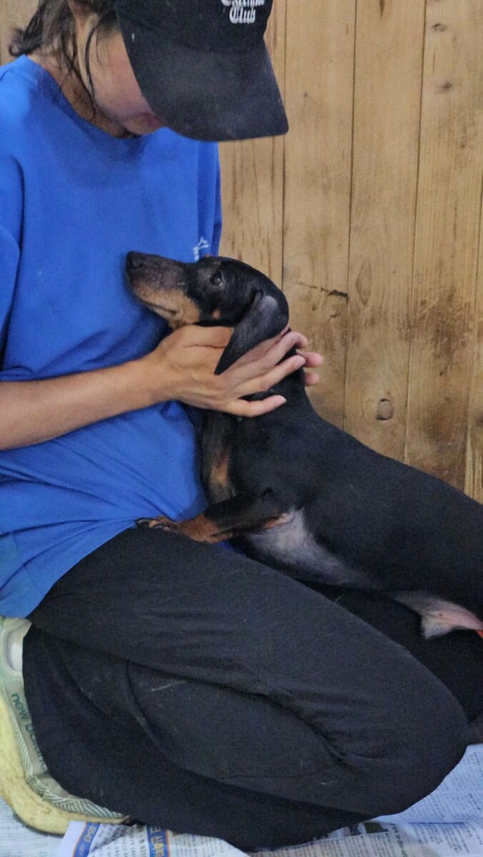 Image ofBuddy