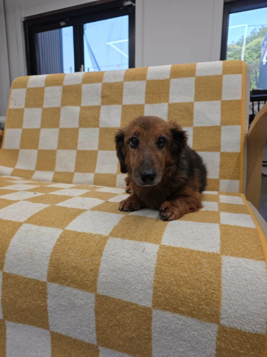 Rusty
