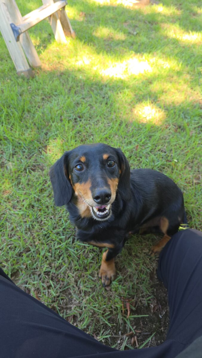 Paolo